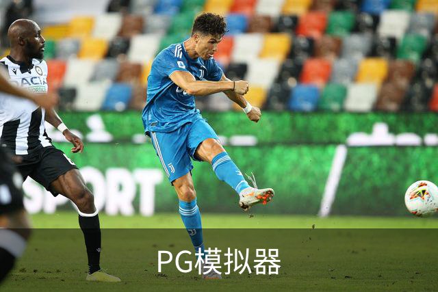 PG模拟器公司简介